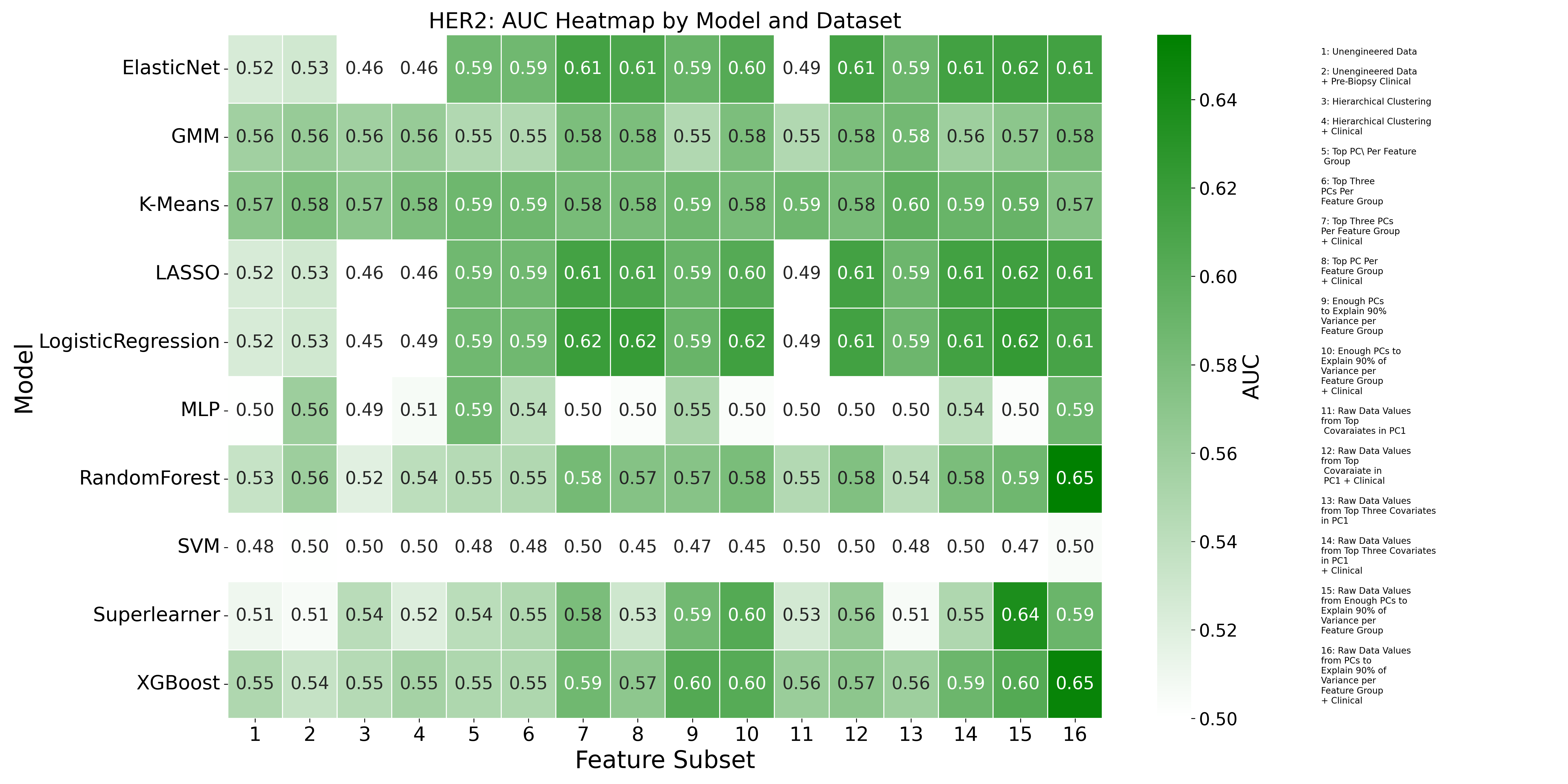HER2 AUC Heatmap
